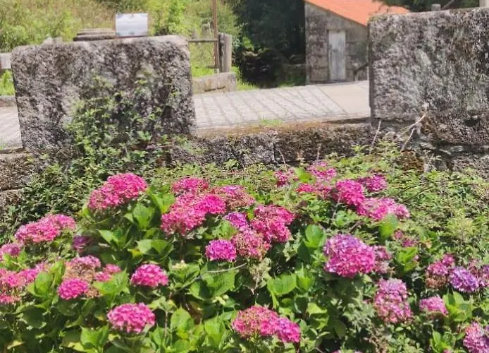 Semesterbostad A Ponte Do Rio