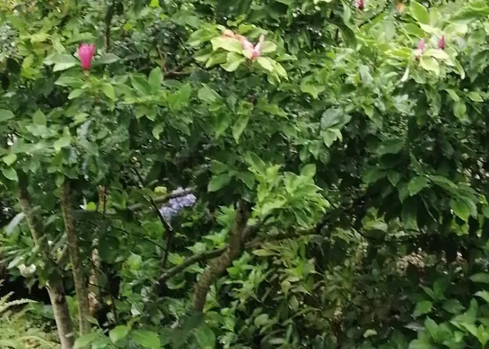 A Ponte Do Rio Semesterbostad Bealo